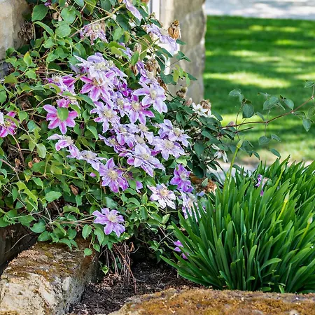 1 Bed In Easingwold 84002 Tatil Evi