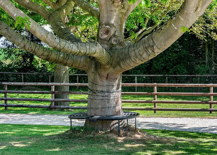 1 Bed In Crayke 84002 *