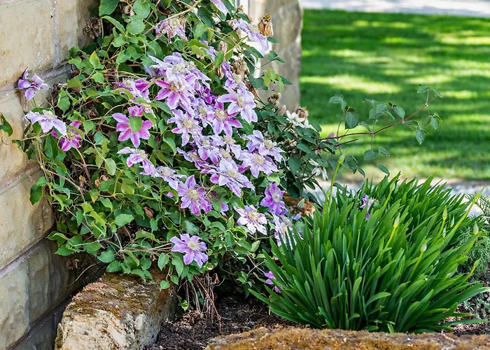 1 Bed In Crayke 84002 Vakantiehuis